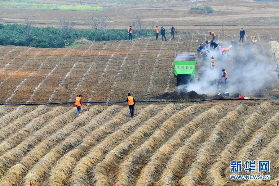 （在习近平新时代中国特色社会主义思想指引下——新时代新作为新篇章·习近平总书记关切事·图文互动）（3）确保不误农时，保障夏粮丰收——各地抓好春耕生产在行动