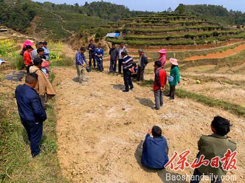 3月12日，龙陵县象达镇坝头社区到各烤烟种植区召开烤烟移栽现场培训会，镇政府分管领导及烟站技术员、社区干部、驻村工作队员及部分烟农参加了培训。.jpg