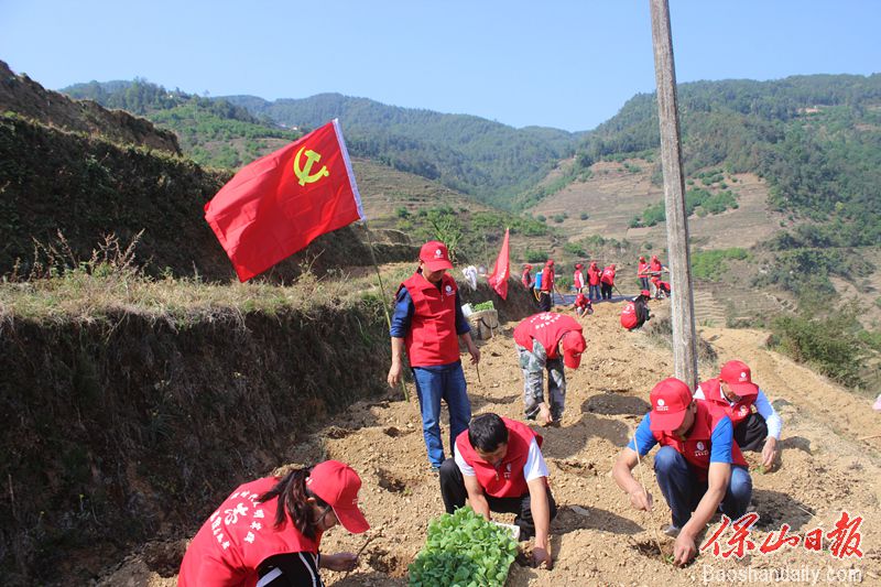 龙陵千余名党员干部下乡抗旱栽烟3.jpg