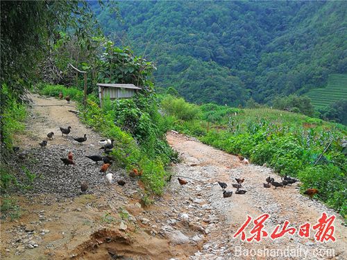 黑石河道路原貌.jpg