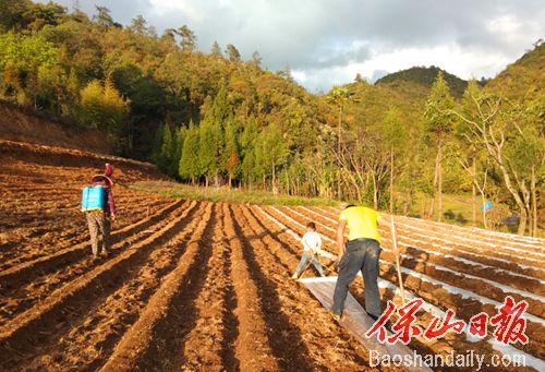 龙陵大硝河村家家户户播种忙.jpg