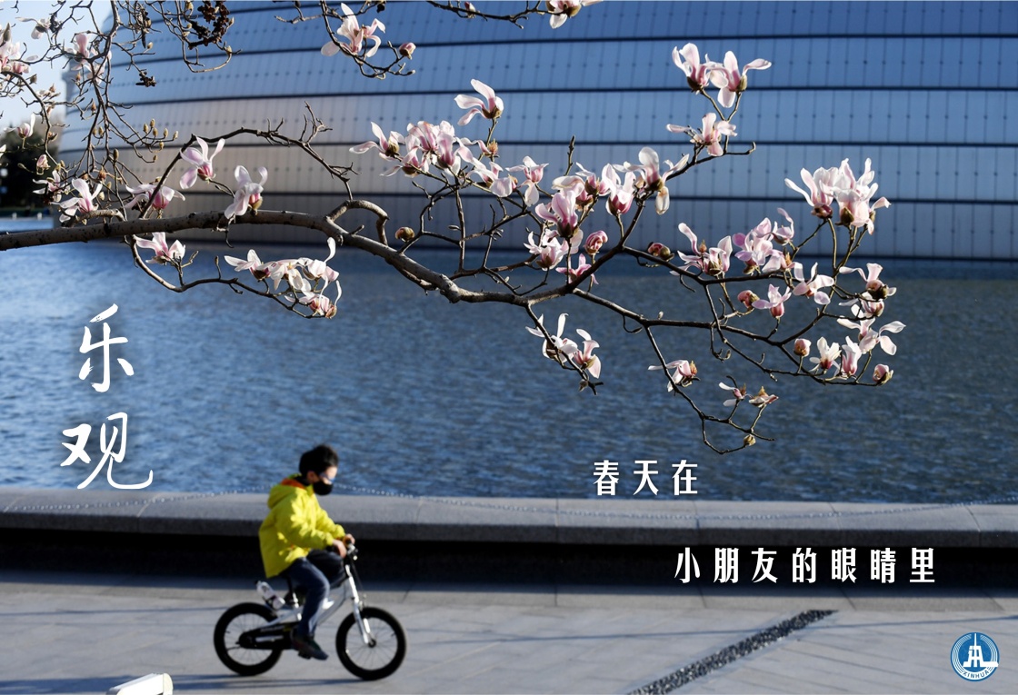 北京国家大剧院，小男孩在吐露芬芳的玉兰花下骑车(3月14日摄)。