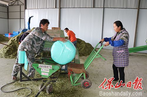 青储饲料打包.JPG