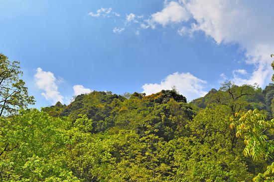 昌宁：碧水蓝天生红利　绿水青山留乡愁