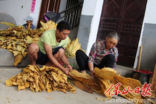 李国华一家在理烟叶.jpg