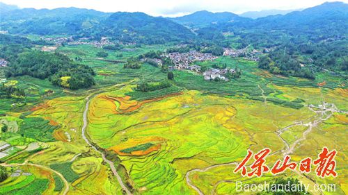 蚌渺湖湿地.jpg