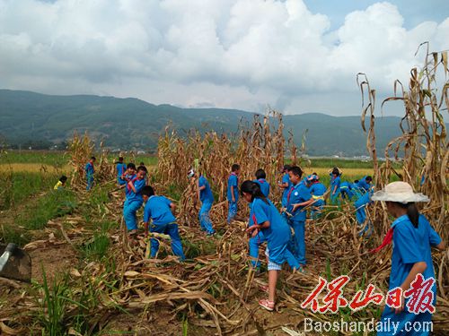 施甸县小学生在西安交大援助的仁和镇田园教育基地开展劳动体验.jpg