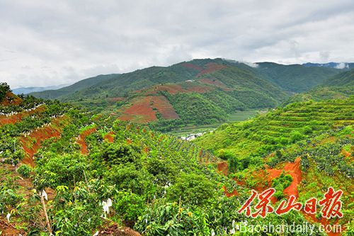 昌宁湾甸拍了拍你：快来甜甜酸酸爽夏天3.jpg