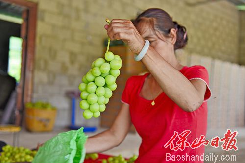 昌宁湾甸拍了拍你：快来甜甜酸酸爽夏天5.jpg