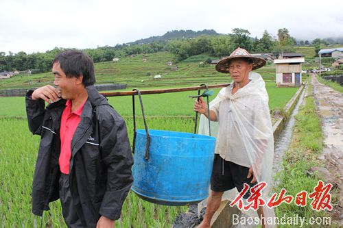 龙江稻花鱼苗下田 乡愁的味道“上线”5.jpg