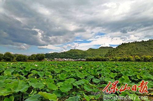 施甸山邑社区野鸭湖湿地.jpg