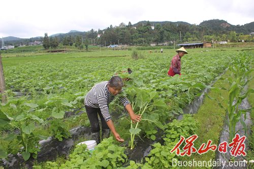 龙陵：百姓日子越来越有盼头3.jpg