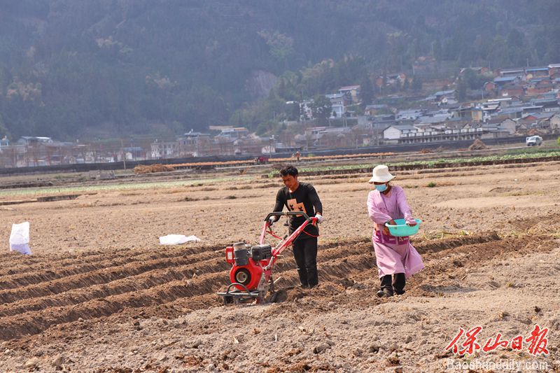 平达乡是龙陵县烤烟种植面积的大乡.jpg