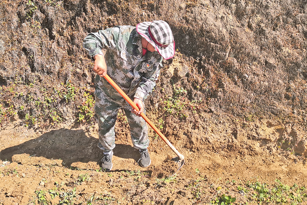 路长制维护道路 (2).jpg