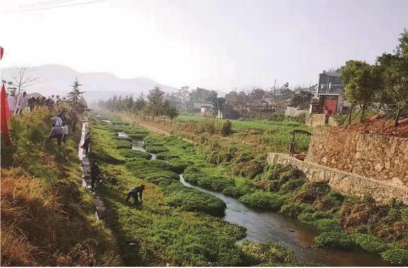 对河道深度清淤