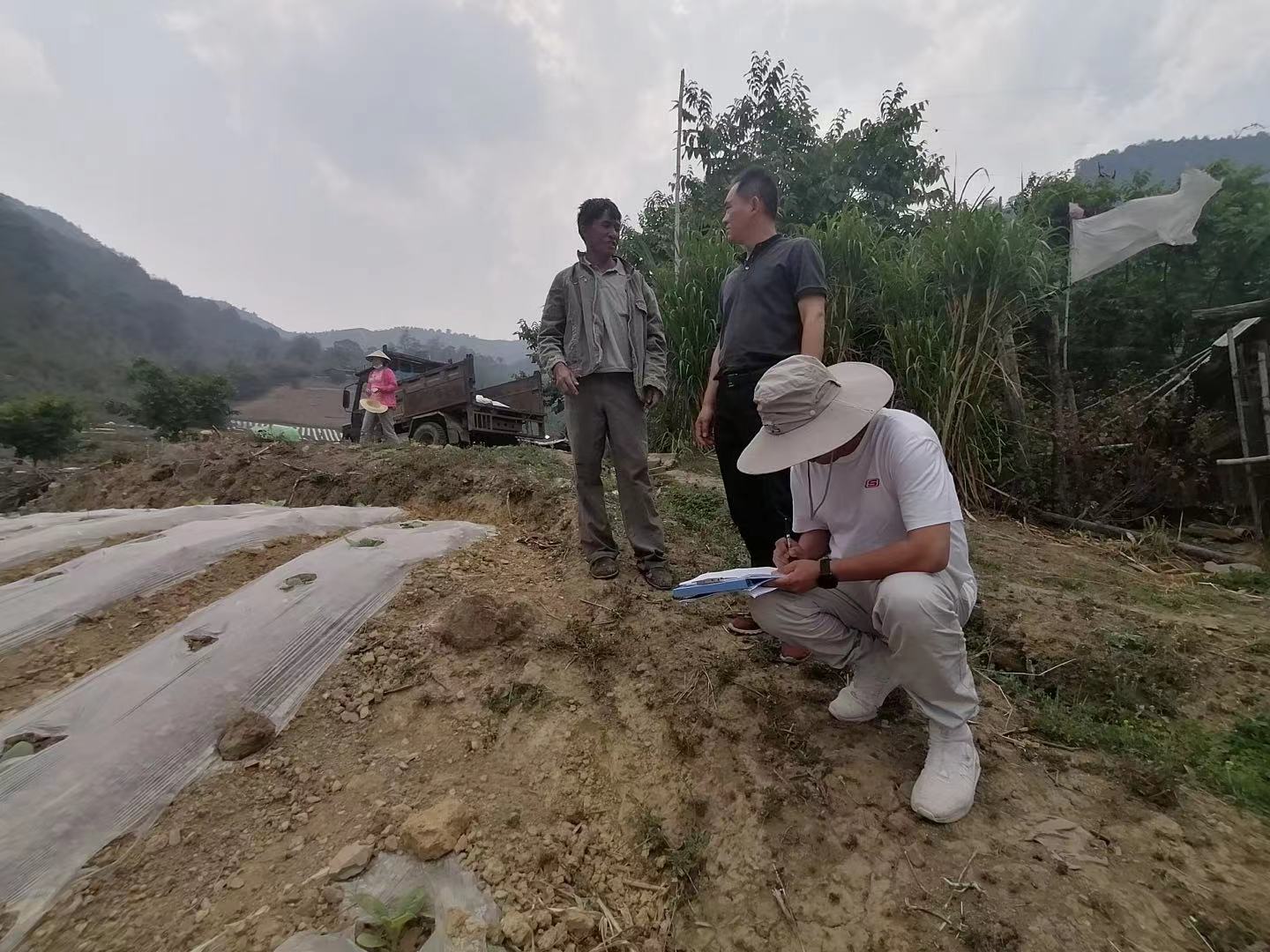 党旗飘扬在田间地头