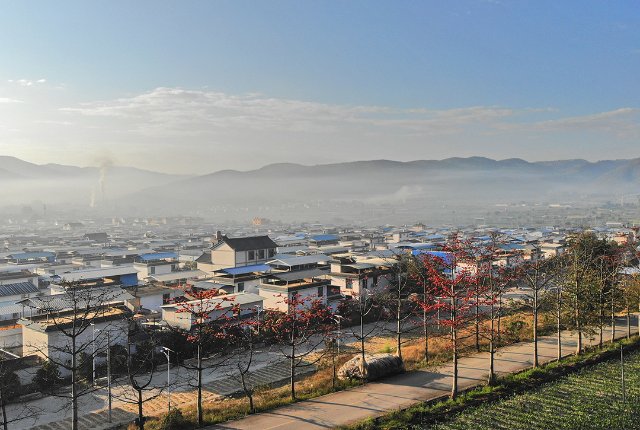 保山怒江边、潞江坝，攀枝花开朵朵艳 崔敏 通讯员 鲁兴娣 李亚洁 摄