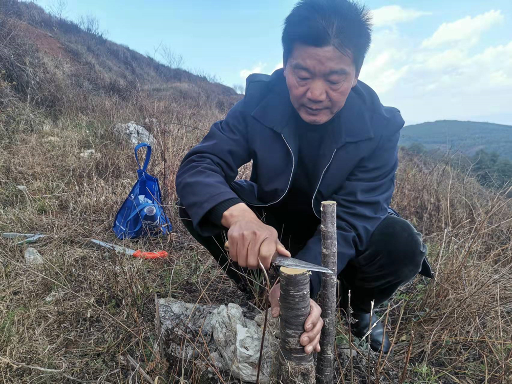 保山市科技特派员助力老兵走稳乡村振兴路2.jpg