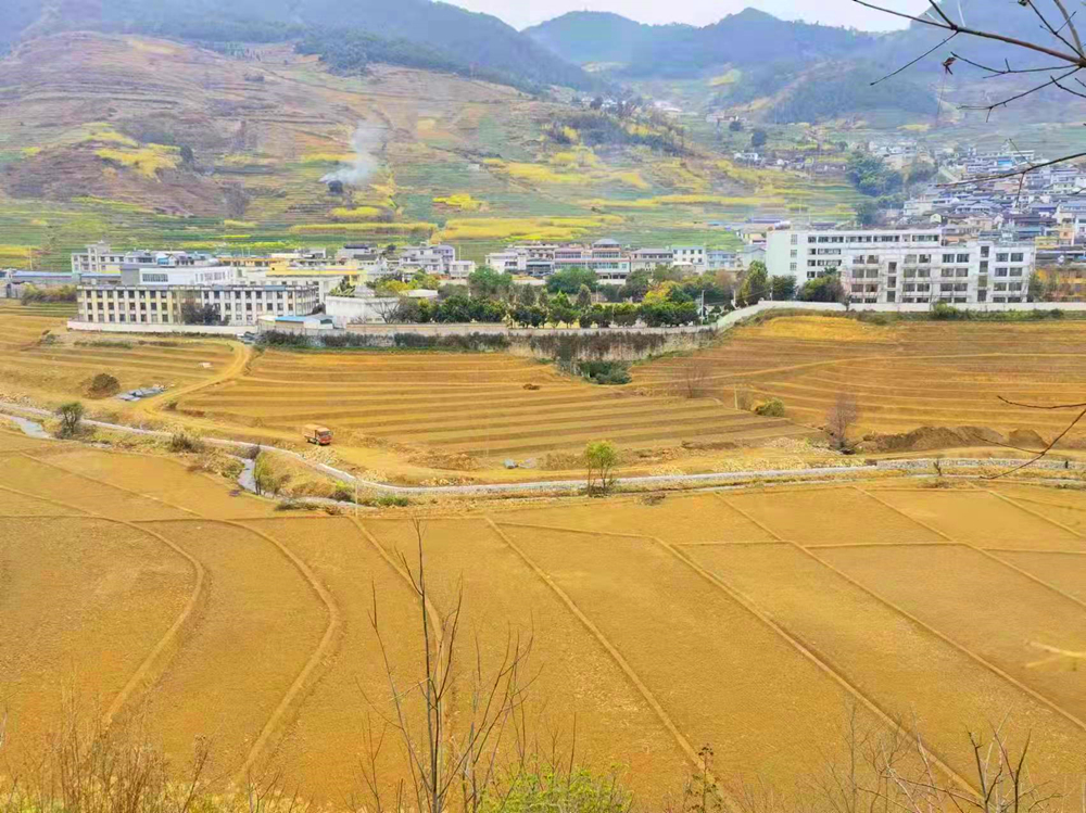 “滇西粮仓”保山市高标准农田建设实现新突破