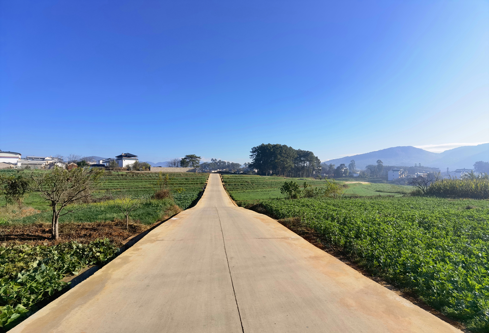 发展粮食生产，助推乡村振兴