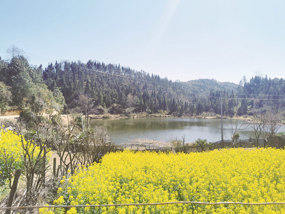 芒棒大鱼塘：守护绿水青山　赋能乡村振兴.jpg