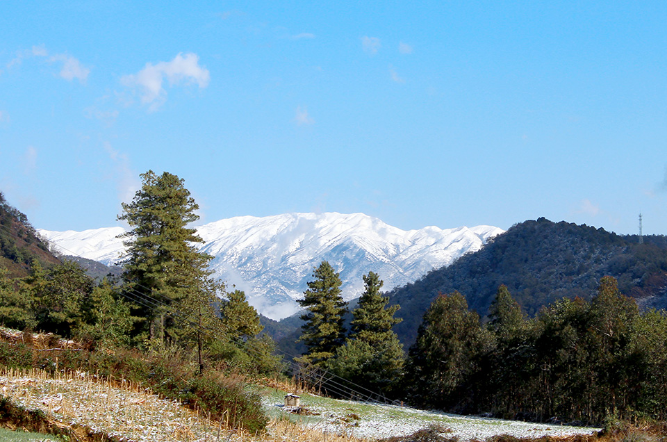 道人山最美雪景.jpg