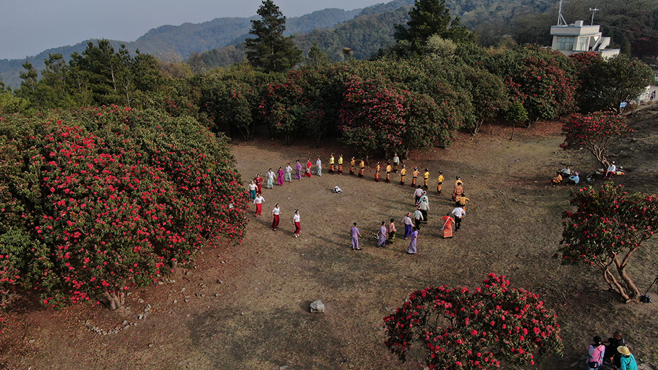 天堂山上杜鹃花游客3  3月22日拍摄.JPG