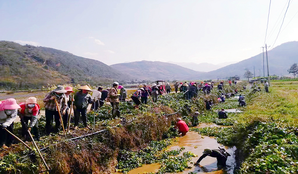 干群齐出动　清河掀高潮.jpg