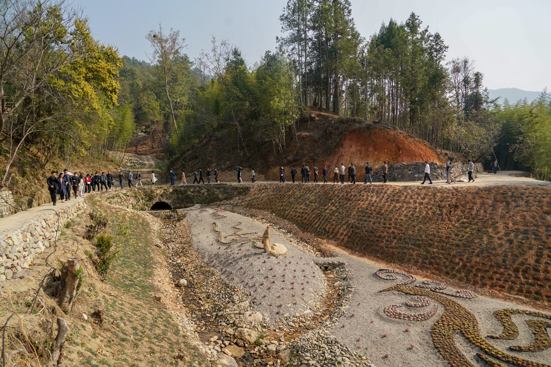 固东小甸深闺里项目实施后多肉种植已经初具雏形.jpg