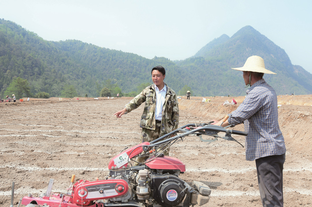 从“碎片田”到“高标准田”.jpg