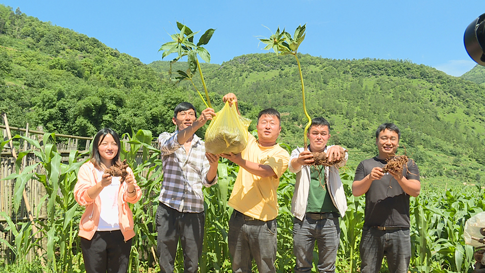 2023年7月28日，瓦渡乡土官村的重楼走出大山，销往各地，村民喜笑颜开。.jpg