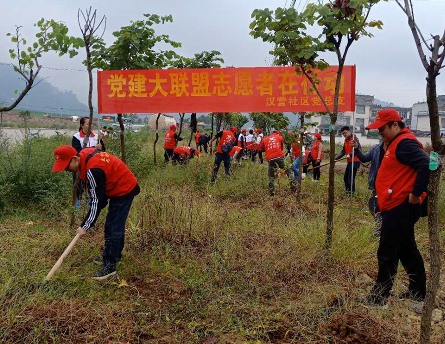 参加社区环境整治.jpg