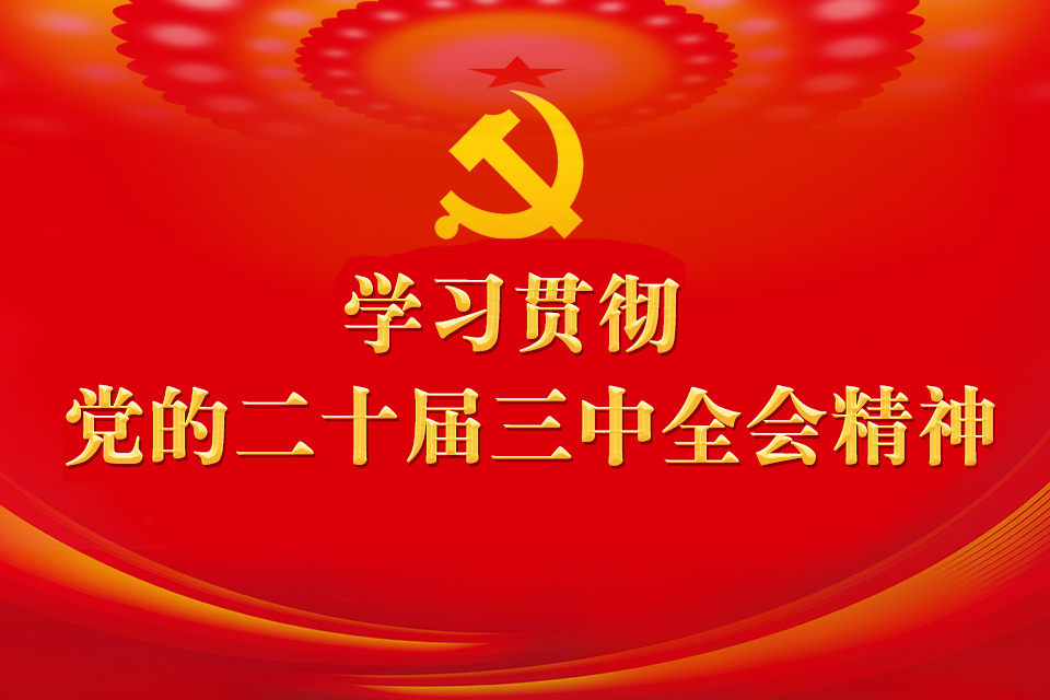 ”学习贯彻党的二十届三中全会精神”