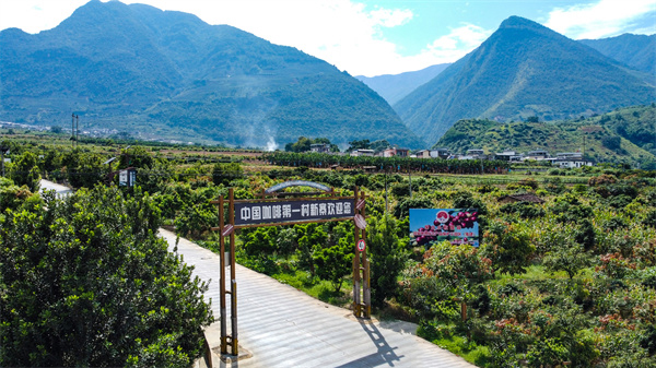 【微光志·山海之约】“牵手豆”，出山！